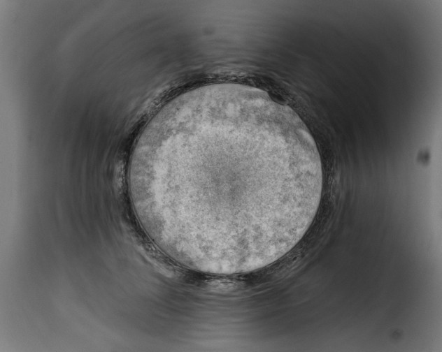 X0000115230708200911201557