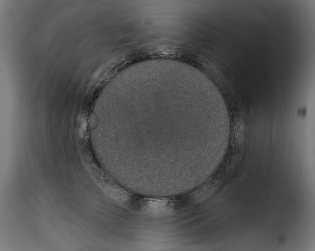 X0000115230709200911201557