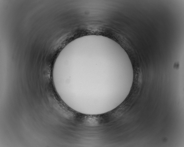 X0000115230710200911201557