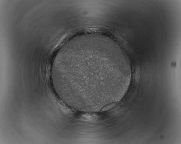 X0000115230712200911201557