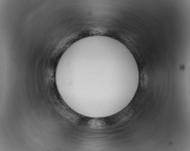 X0000115230714200911201557