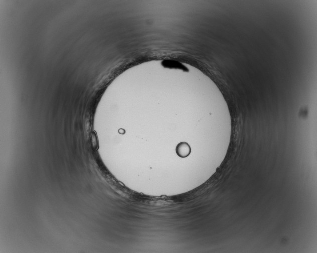 X0000115230716200911201557