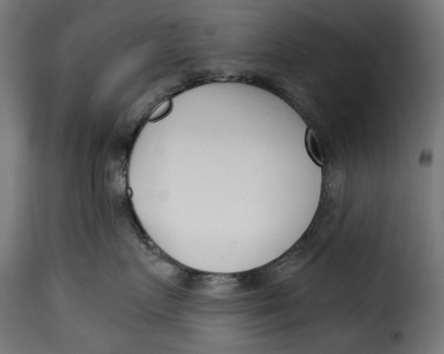 X0000115230719200911201557