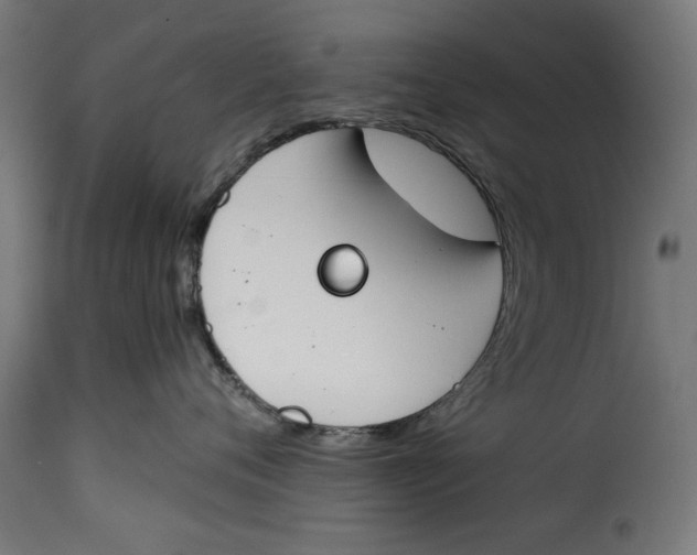 X0000115230720200911201557