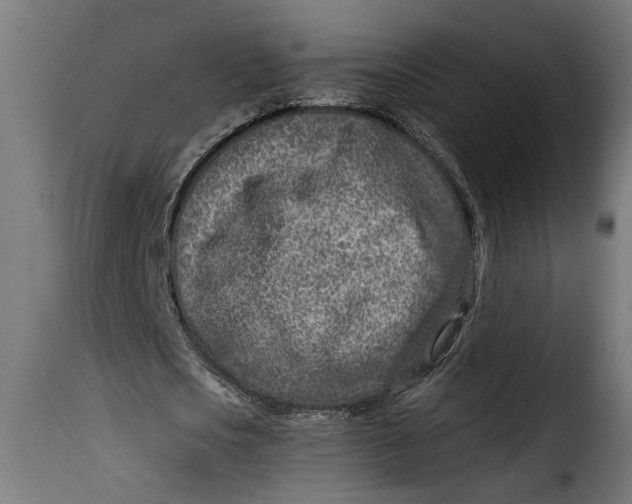 X0000115230721200911201557