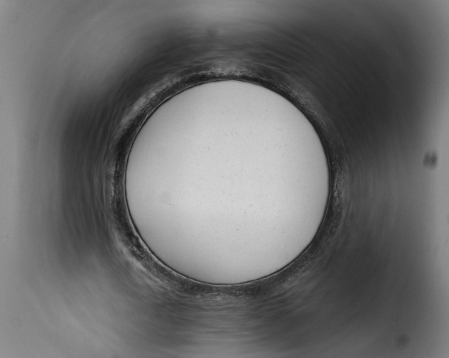 X0000115230722200911201557