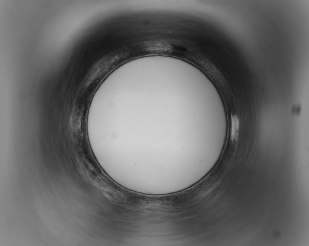 X0000115230723200911201557