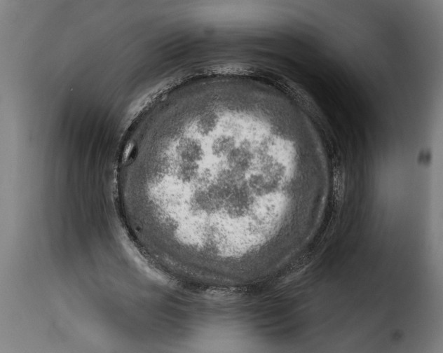 X0000115230725200911201557