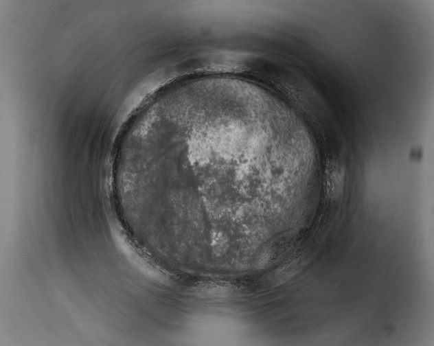 X0000115230726200911201557