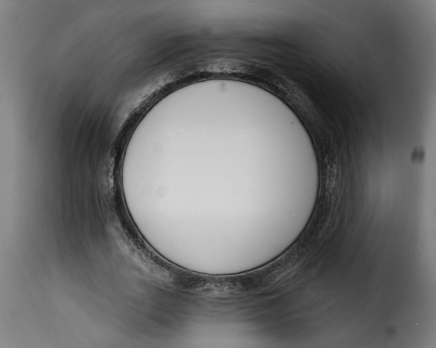 X0000115230727200911201557