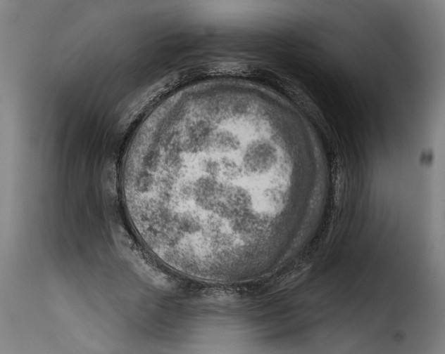 X0000115230729200911201557