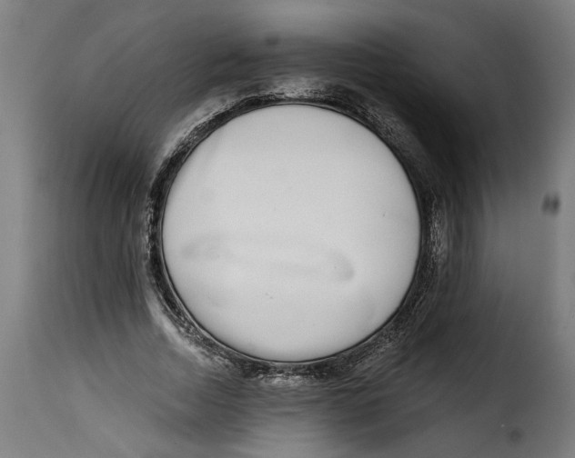 X0000115230730200911201557