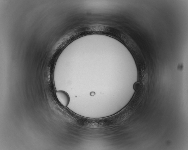 X0000115230731200911201557