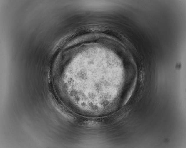 X0000115230733200911201557