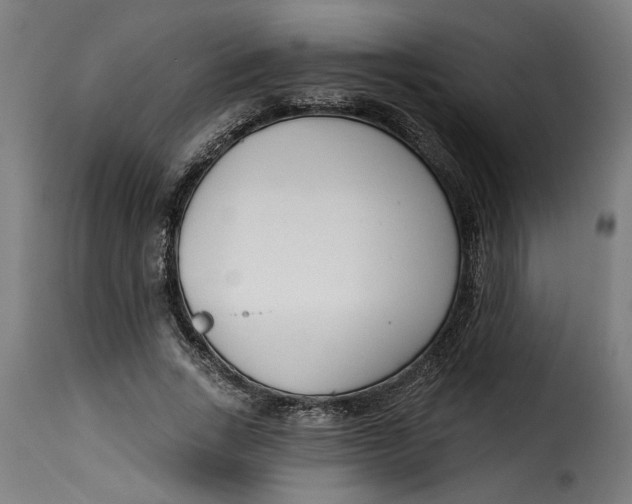 X0000115230735200911201557