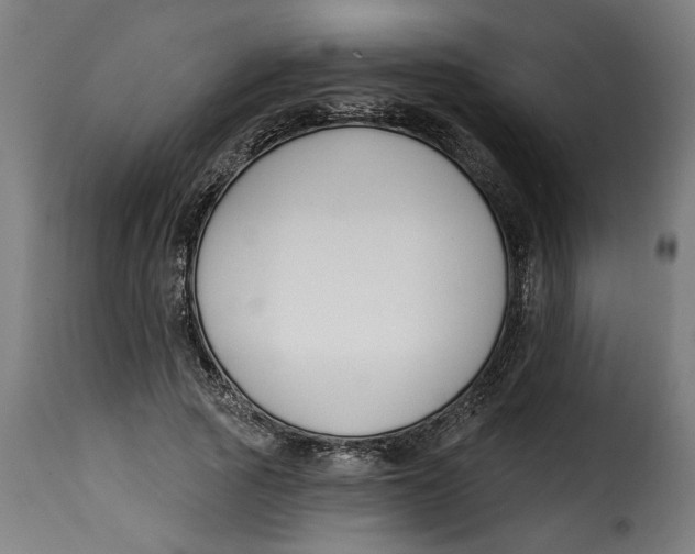 X0000115230737200911201557