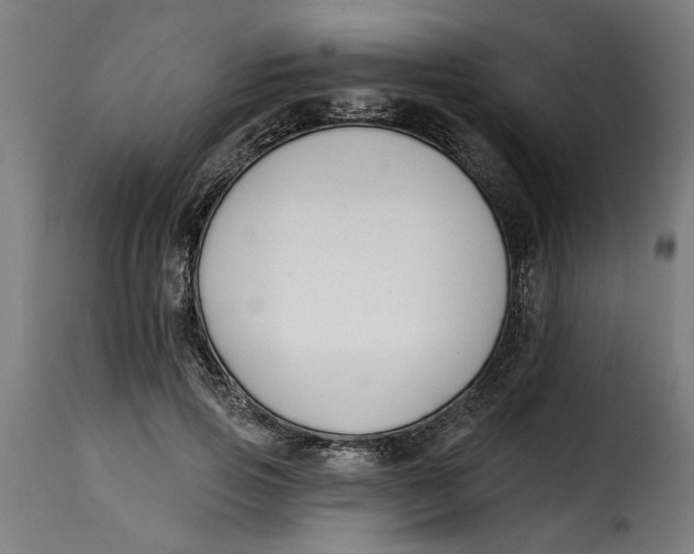 X0000115230741200911201557