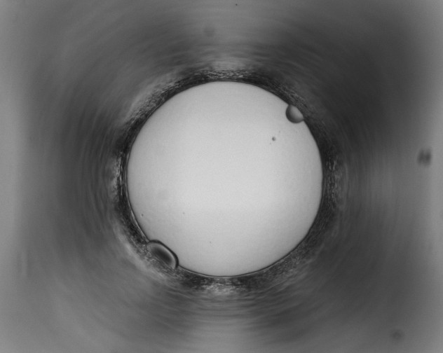 X0000115230742200911201557