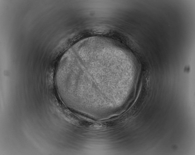 X0000115230745200911201557