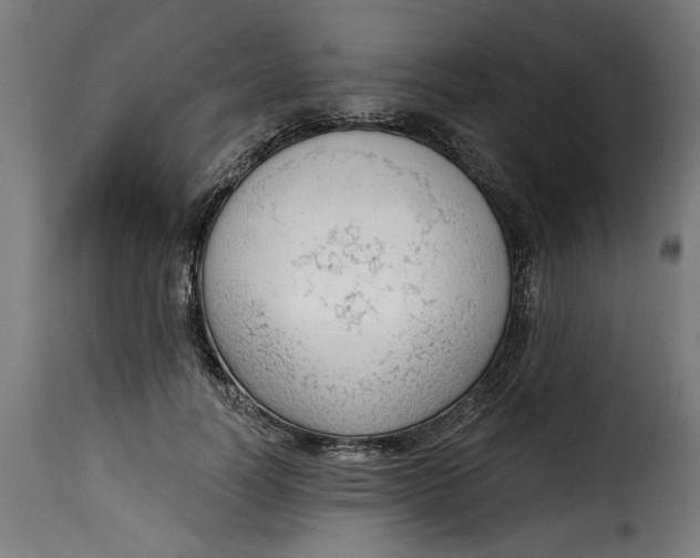 X0000115230746200911201557