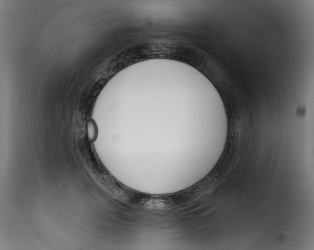 X0000115230751200911201557