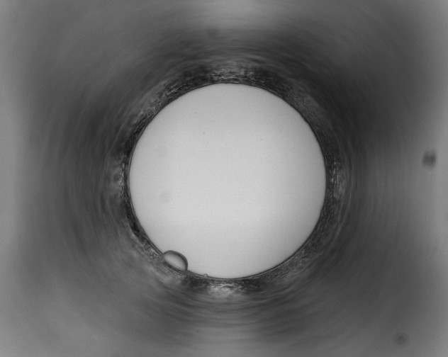 X0000115230753200911201557