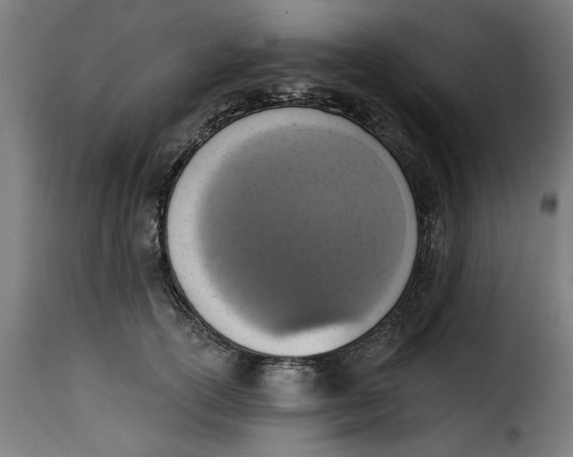 X0000115230754200911201557