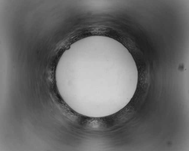 X0000115230755200911201557