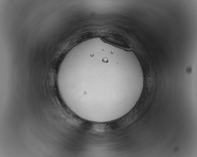 X0000115230757200911201557