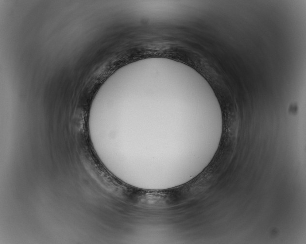 X0000115230758200911201557