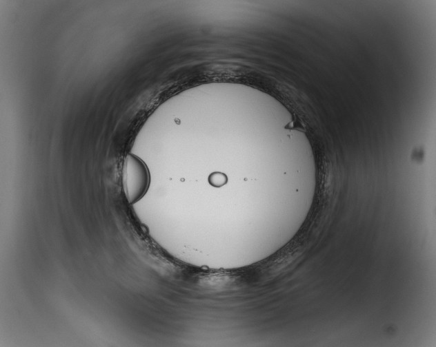 X0000115230759200911201557