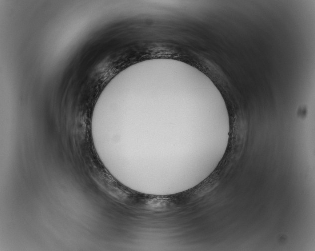 X0000115230761200911201557