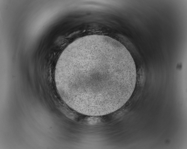 X0000115230762200911201557