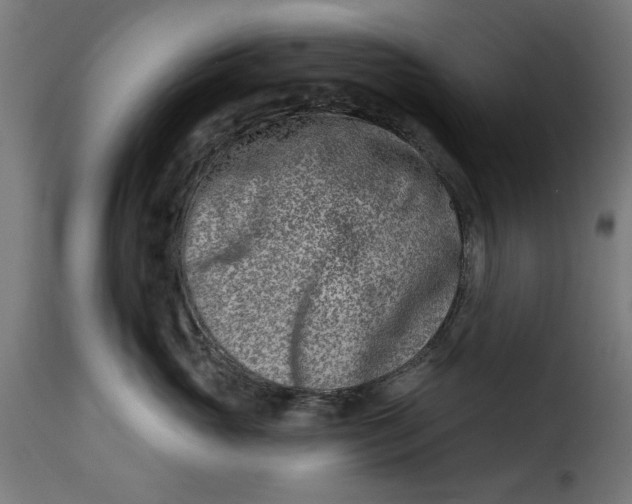 X0000115230765200911201557