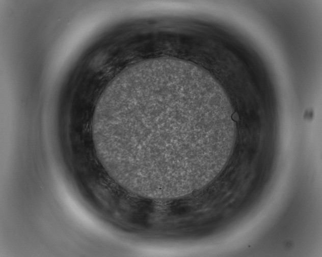 X0000115230766200911201557