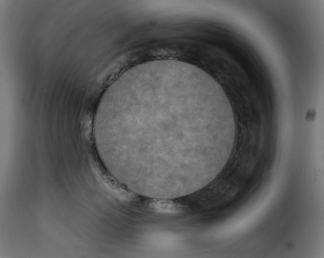 X0000115230767200911201557