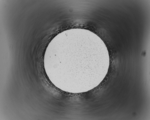 X0000115230769200911201557