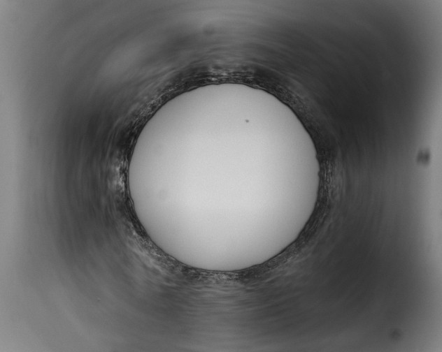 X0000115230770200911201557