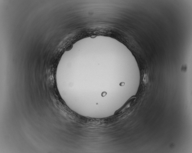 X0000115230771200911201557