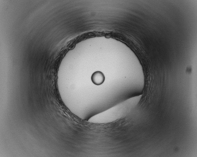 X0000115230773200911201557