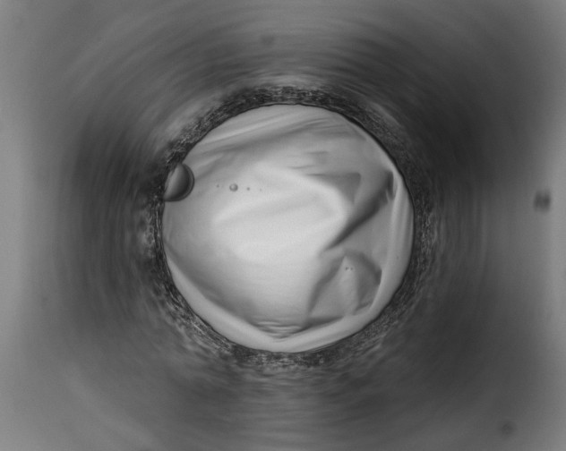 X0000115230774200911201556