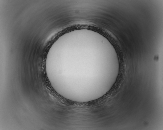 X0000115230775200911201556