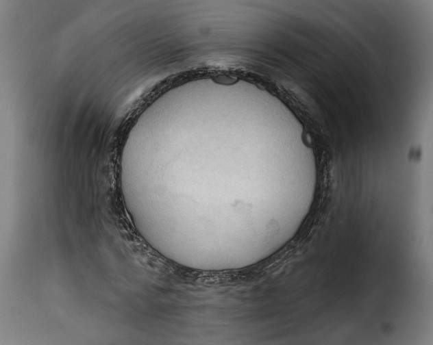 X0000115230776200911201556