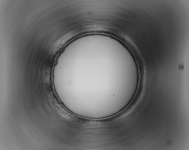 X0000115230777200911201556