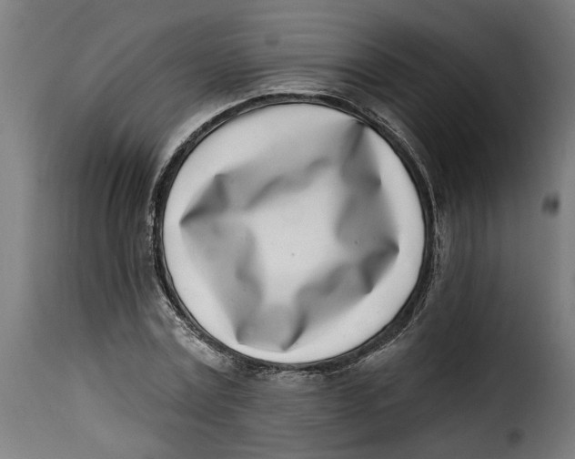 X0000115230779200911201556