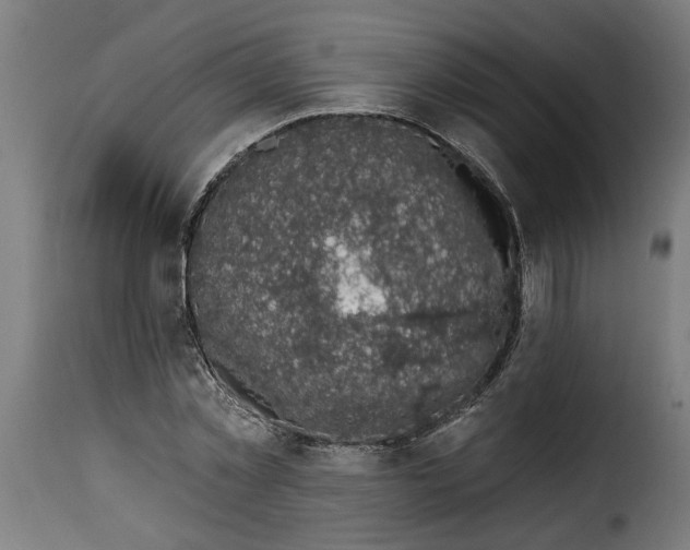 X0000115230781200911201556