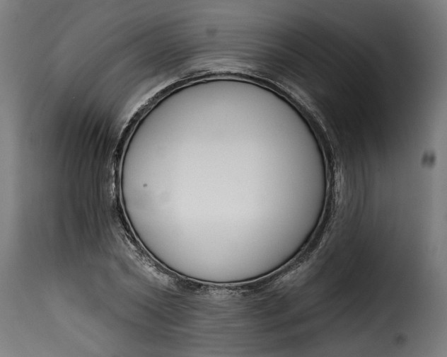 X0000115230782200911201556