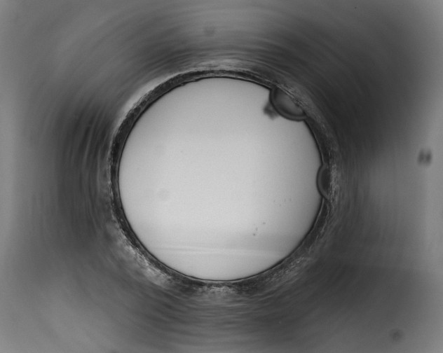 X0000115230784200911201556