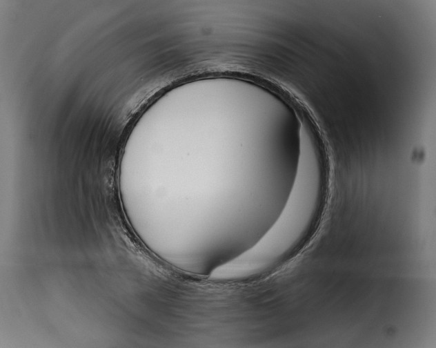 X0000115230785200911201556