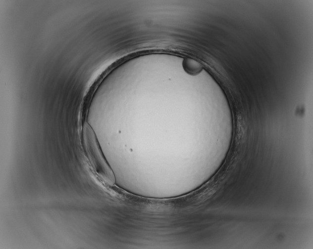 X0000115230788200911201556